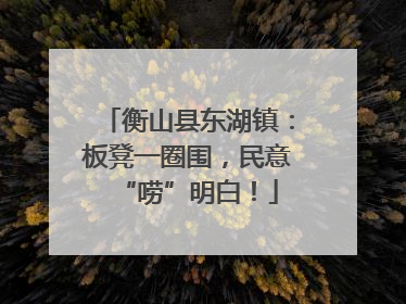 衡山县东湖镇：板凳一圈围，民意“唠”明白！